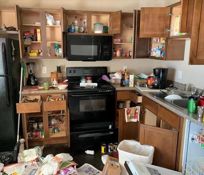 Messy Kitchen with clutter and debris everywhere.