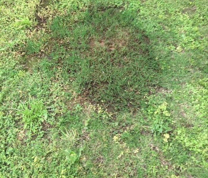 Picture of a very wet spot in the lawn.