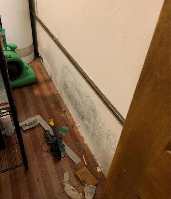 Wall with suspected mold growth on the surface