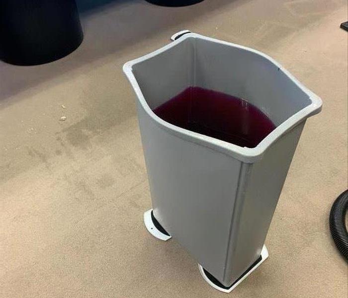 tall trash can full of purple colored water on beige carpeting